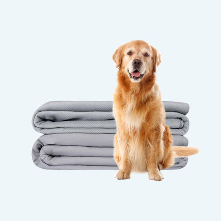 Gravity CalmPaw - Kalmerende Verzwaringsdeken voor Honden